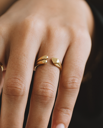 Vane Ring