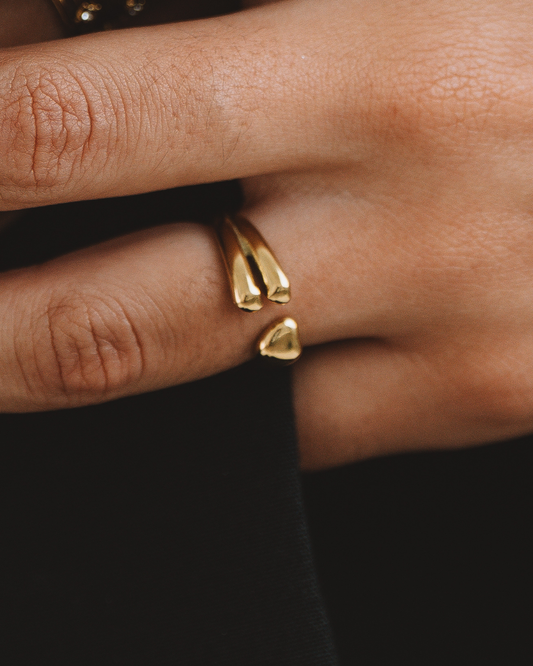Vane Ring