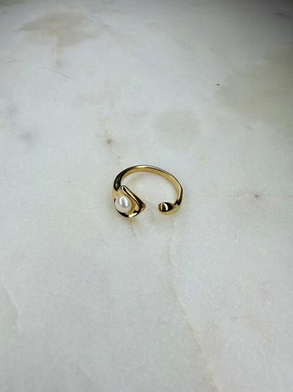 Nico Ring