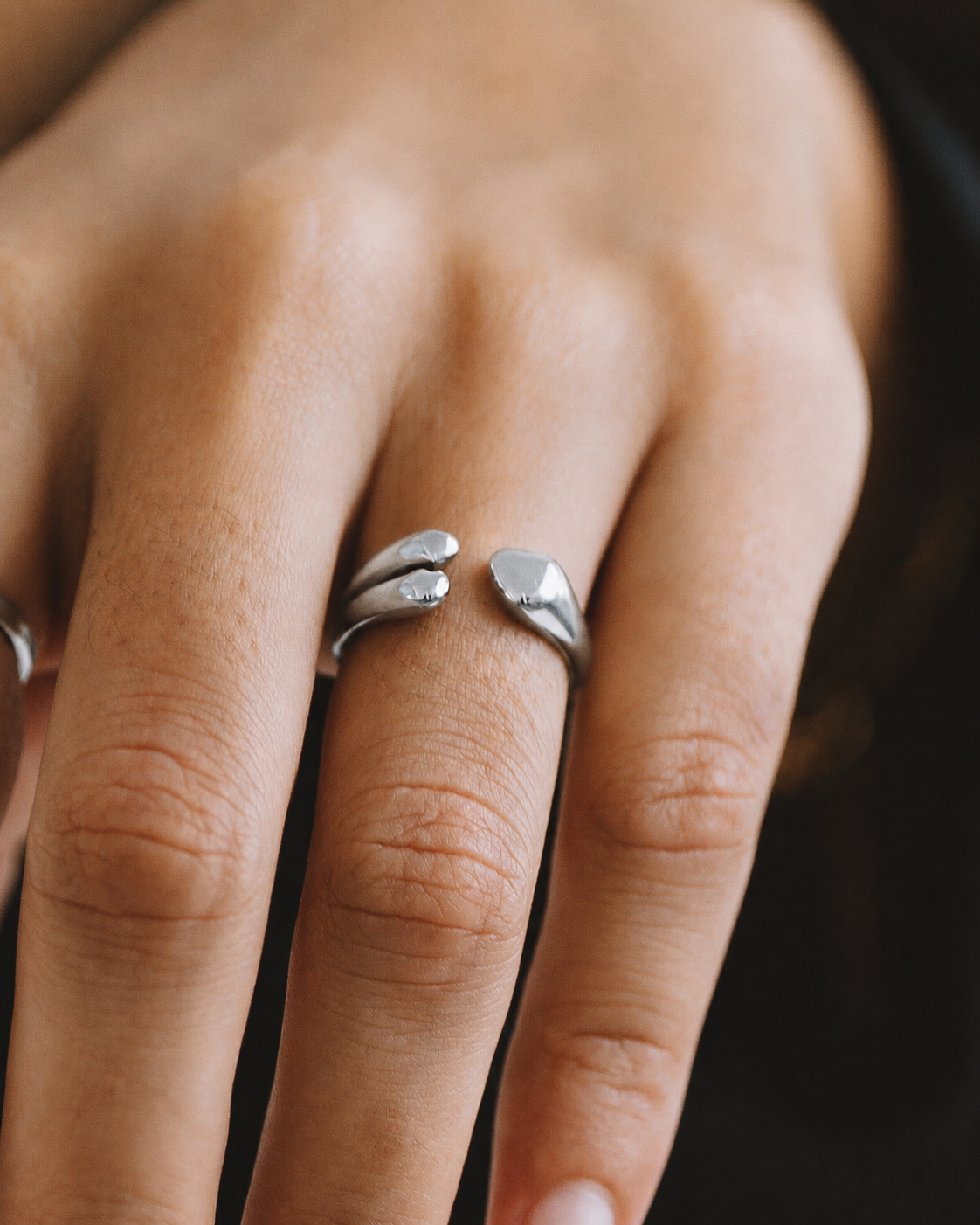 Vane Ring